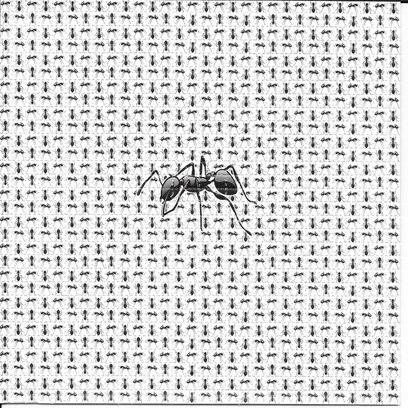 Ink Blotter Paper - Муравьи животное психоделический LSD без кислоты